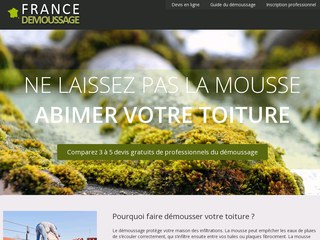 Faites réalisez le démoussage de votre toiture par un expert